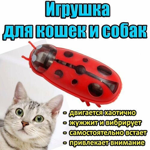 Нано-жук Робот - Развивающая игрушка для мелких пород Собак и Котов