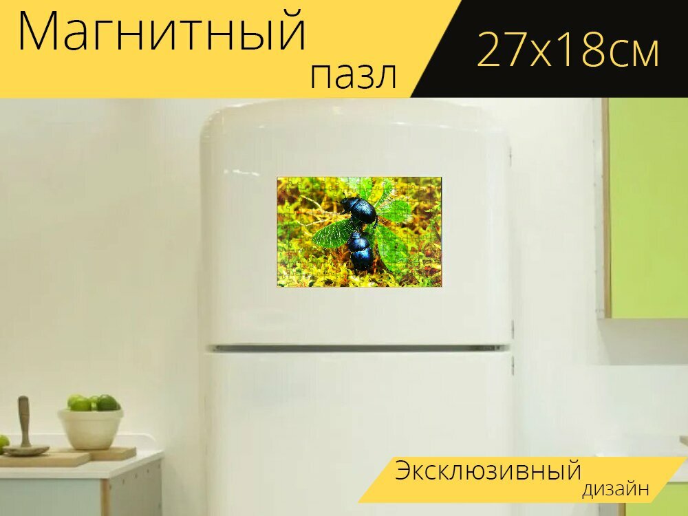 Магнитный пазл "Жуки лесные, насекомые, завод" на холодильник 27 x 18 см.
