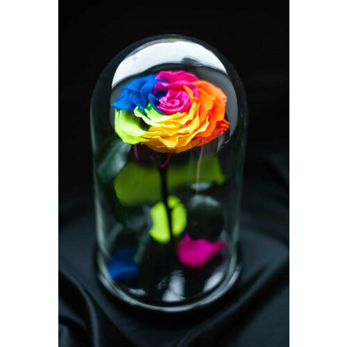 Роза в колбе премиум хит Радужная-2 271511см 4390₽