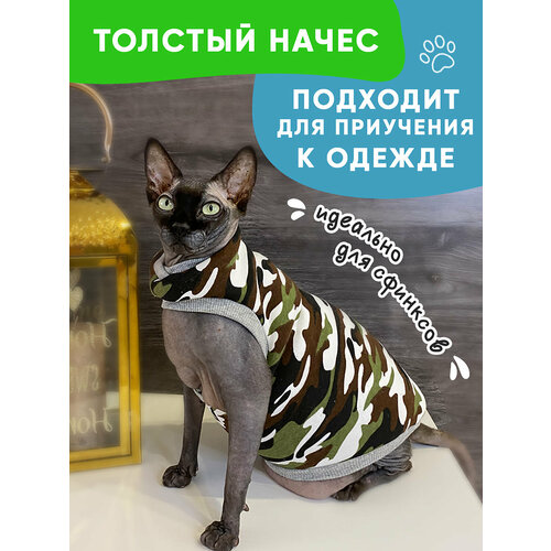 Одежда для животных кошек сфинксов Размер S