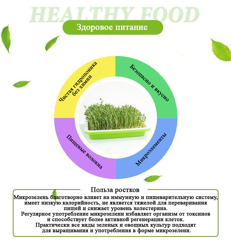 Наборы Для Рассады Набор для выращивания микрозелени, микрозелень семена, гидропоника, лоток для микрозелени