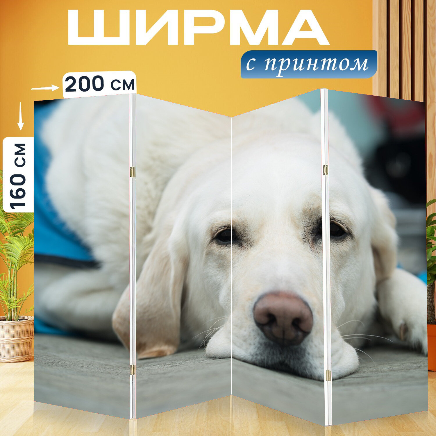 Ширма перегородка с принтом "Собака, млекопитающее, милый" на холсте - 200x160 см. для зонирования, раскладная