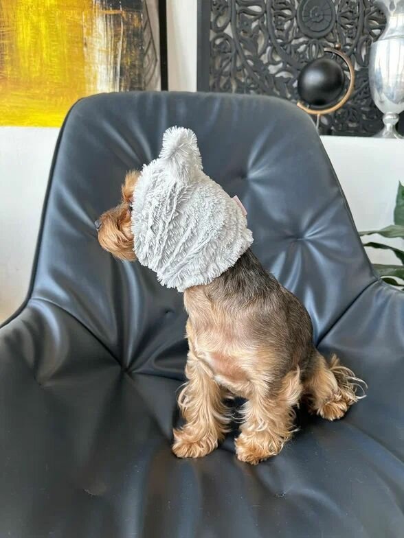 Шапка для собак мелких пород Гамми — фото 1