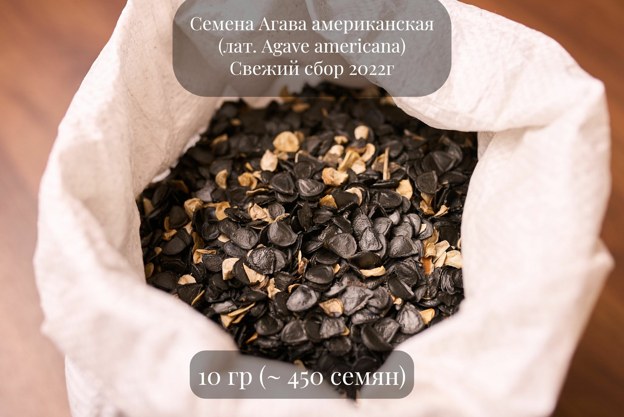 Семена и семена агавы синей — купить по низкой цене на Яндекс Маркете