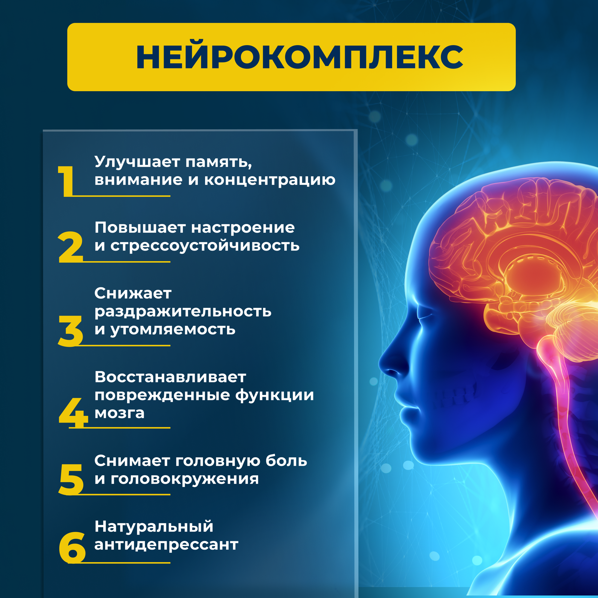 Картинки Гриб ежовик гребенчатый (мицелий) + гинкго билоба 120 капсул по 0.5 г./ нейрокомплекс, иммуностимулятор