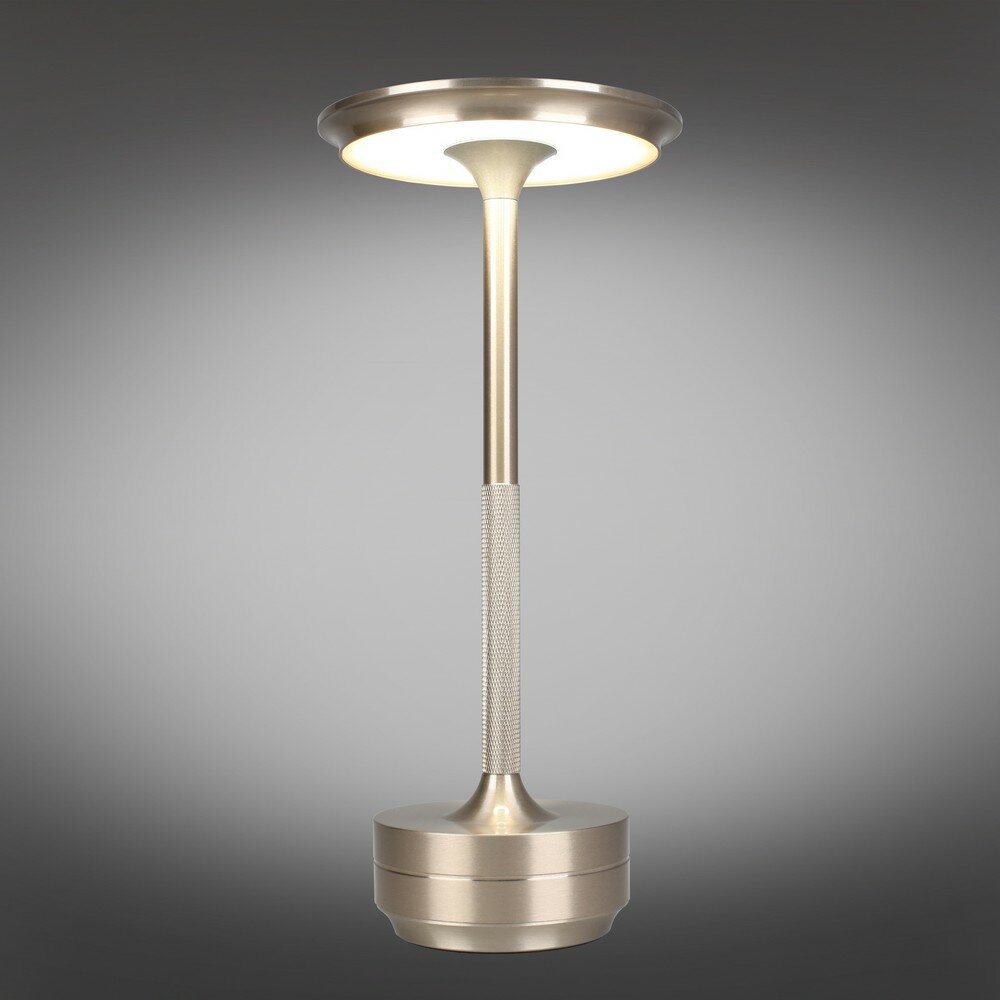 APL.064.14.05 Лампа настольная Aployt Markel — фото 1