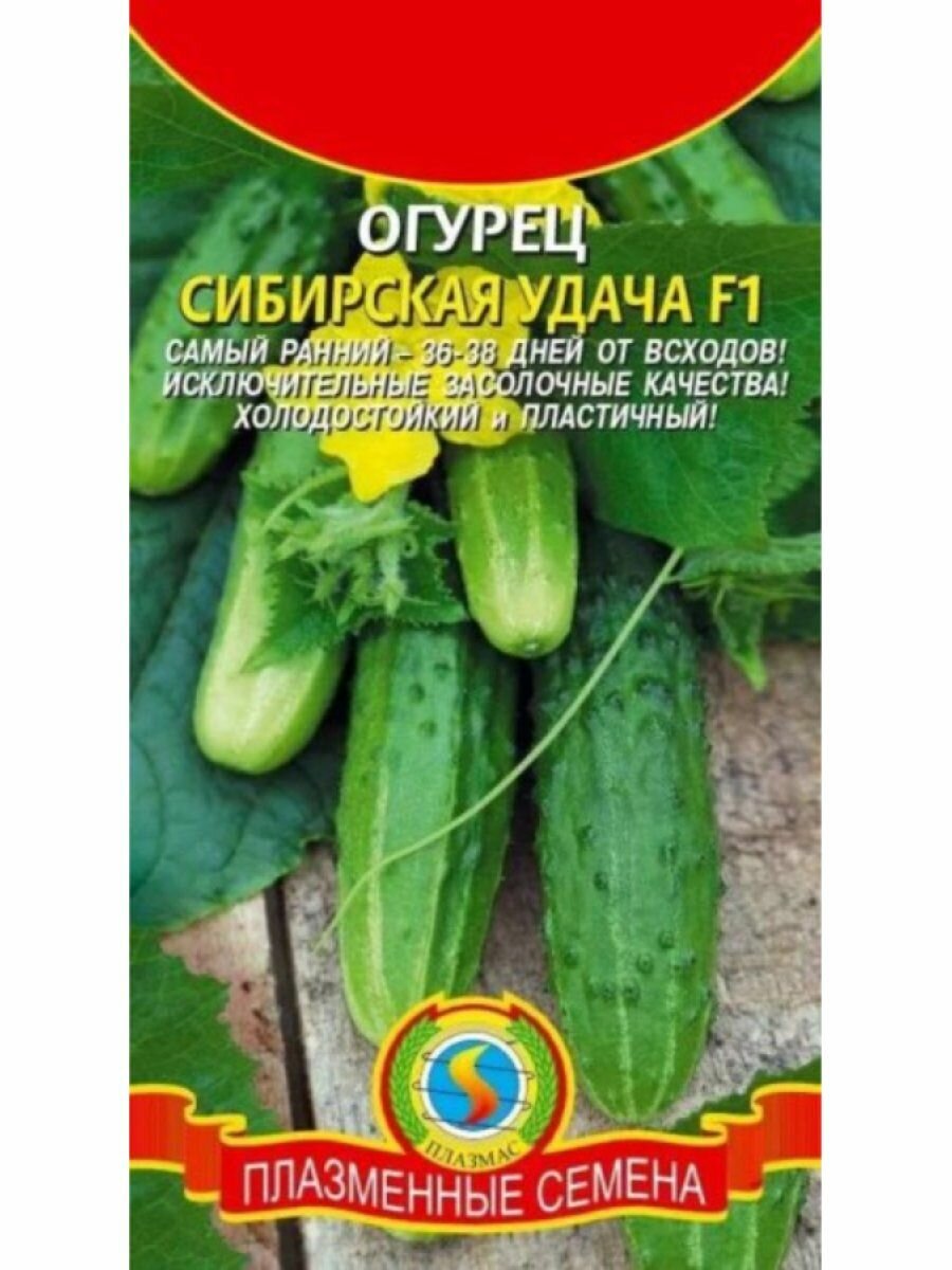 Огурец Сибирская удача F1 8 шт Плазменные семена