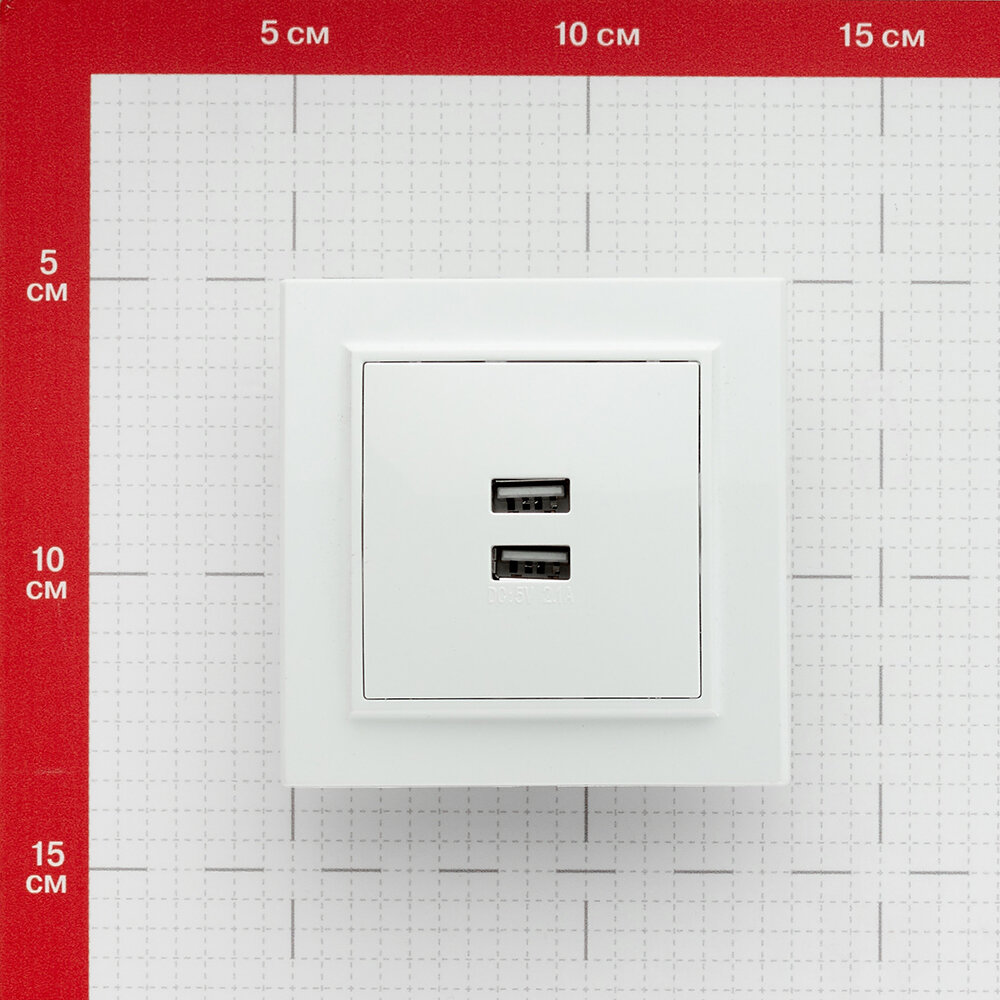 ERR-2USB-100 Минск Розетка USB 2-местная СП 2,1А белая EKF - фото №5