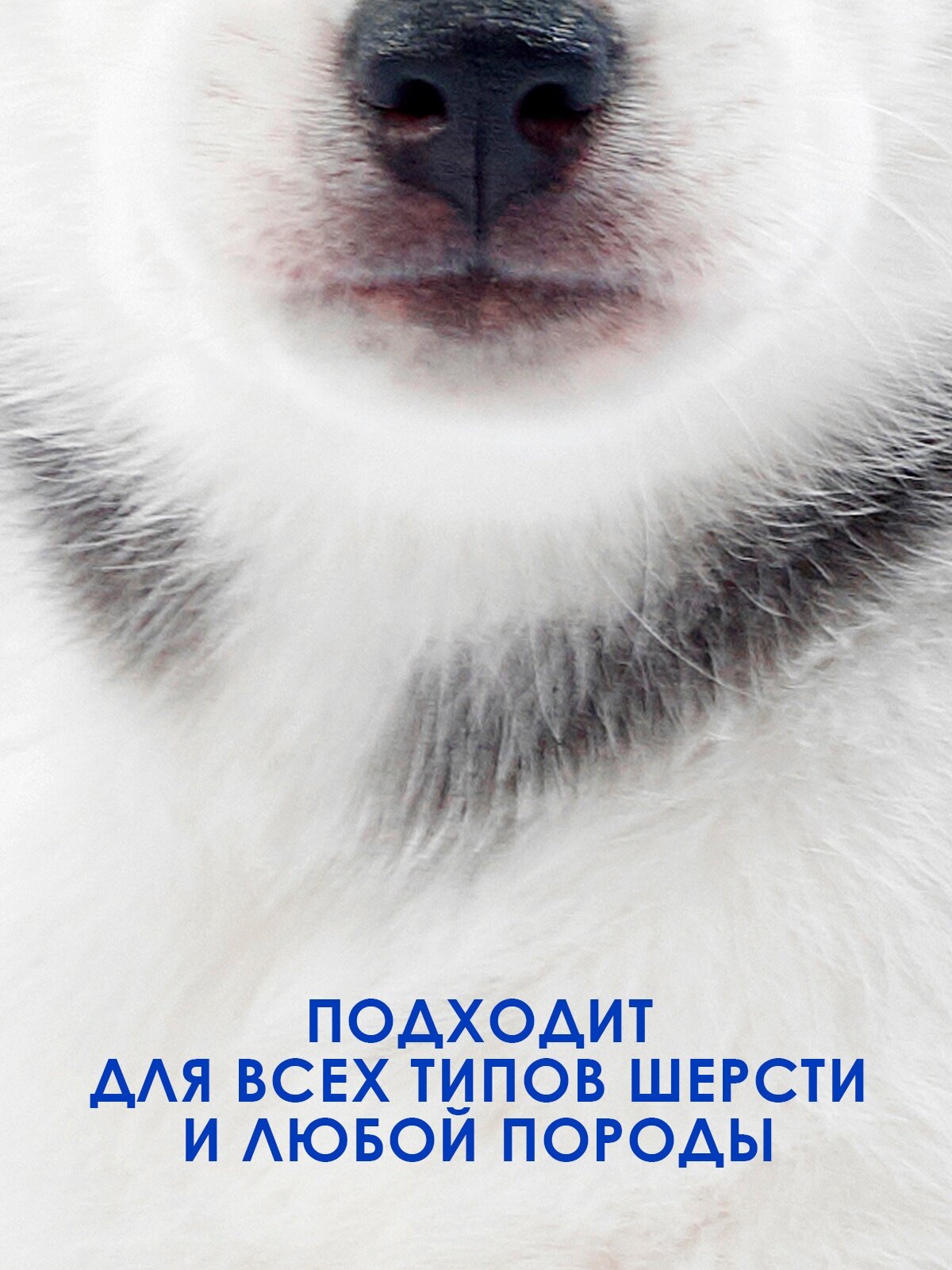 Шампунь для собак и кошек / ZOORIK / Зурик / гипоаллергенный 250 мл - фотография № 4