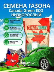 Газонная трава семена Канада Грин Низкорослый ECO 5 кг/ мятлик, овсяница семена для газона