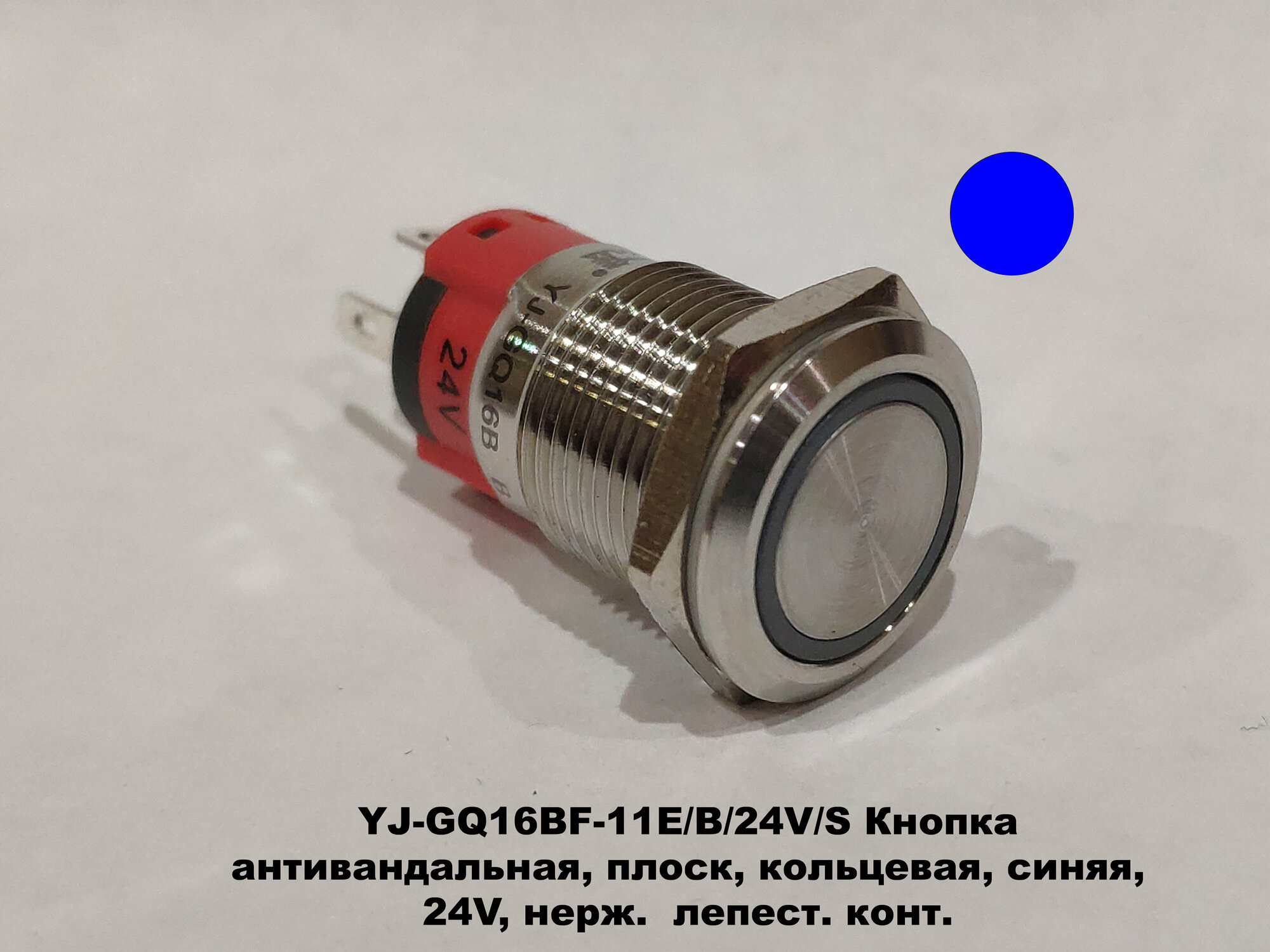 YJ-GQ16BF-11E/J/B/24V/S Кнопка антивандальная, плоск, кольцевая, синяя , 24 V , нерж. лепест. конт. - фотография № 1