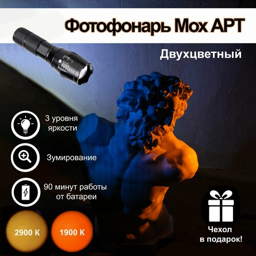 Фотофонарь Мох Арт двухцветный 245000₽
