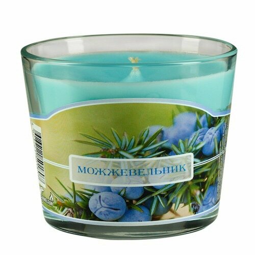 Свеча ароматическая CHAMELEON в стакане, 30+ часов, Можжевельник, 7,9х8,2см, парафин