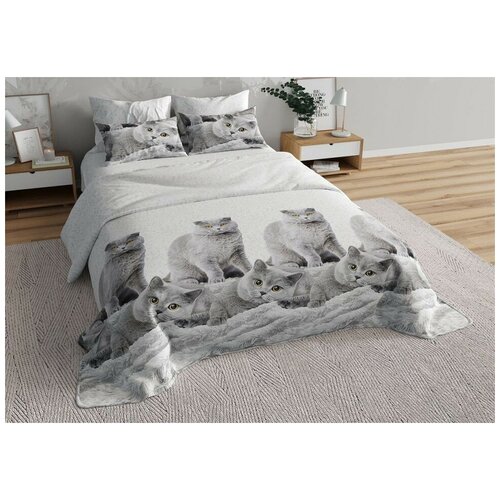 фото Детское постельное белье valtery 0257-1 dl-31 (поплин) / 1.5 спальный