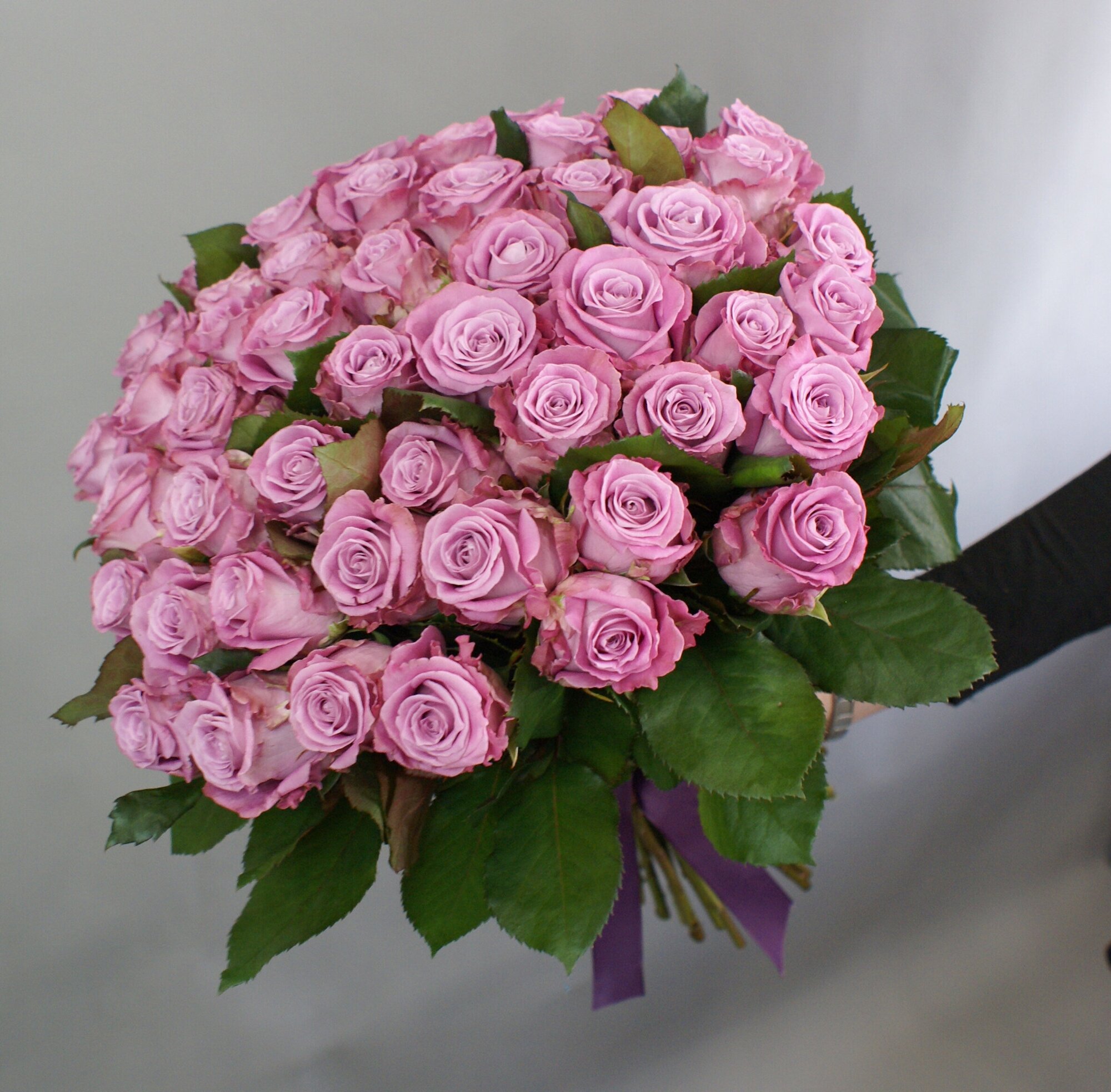 Фиолетовые розы 51 штука "Меритим"