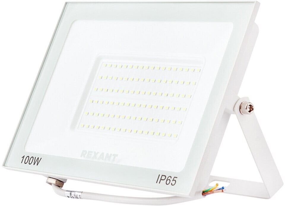 Прожектор светодиодный Rexant, 100 Вт, 5000 К, IP65, белый