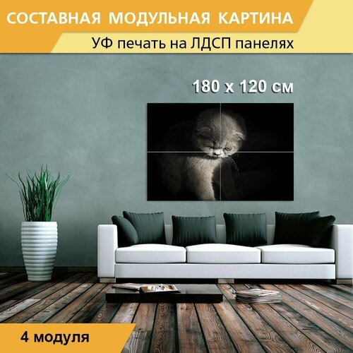 Модульная картина 