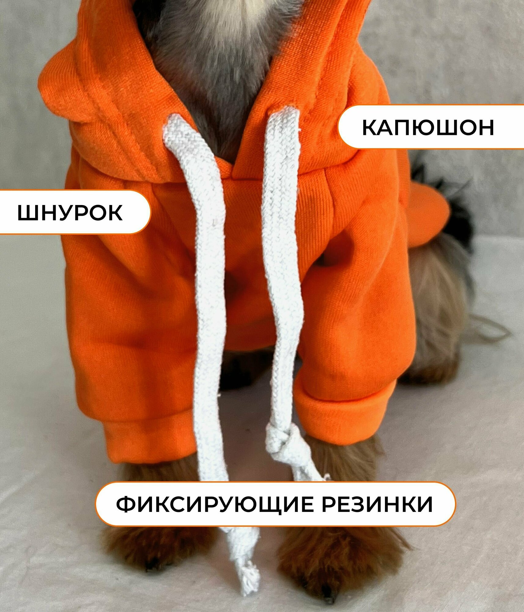 Костюм оранжевый для собак мелких пород, XS (21 см) (худи, толстовка) - фотография № 2