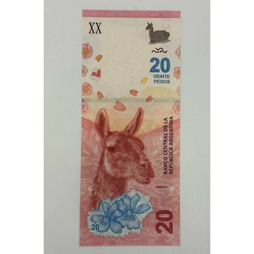 Банкнота Аргентина 20 песо 2017 год Лама (гуанако) UCN банкнота аргентина 1 песо unc выпуск nd 1983 1985 аргентинского песо