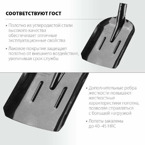 Совковая лопата с ребрами жесткости ЗУБР ПРОФИ 5, ЛСП, без черенка (39452)