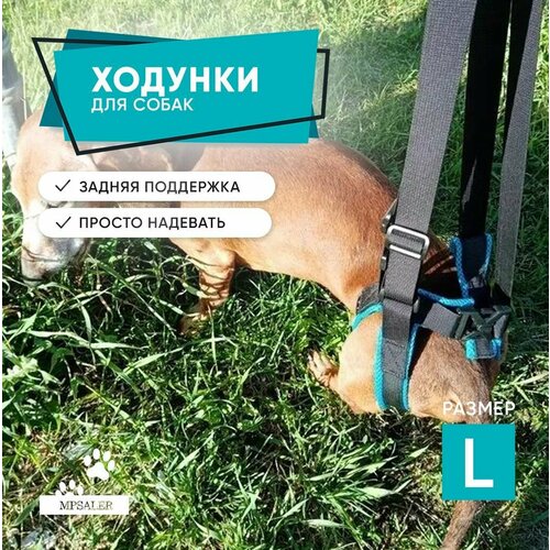 Ходунки для собак, поддержка задних лап пожилых и травмированных собак. Размер L.