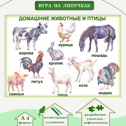 Развивающий набор 