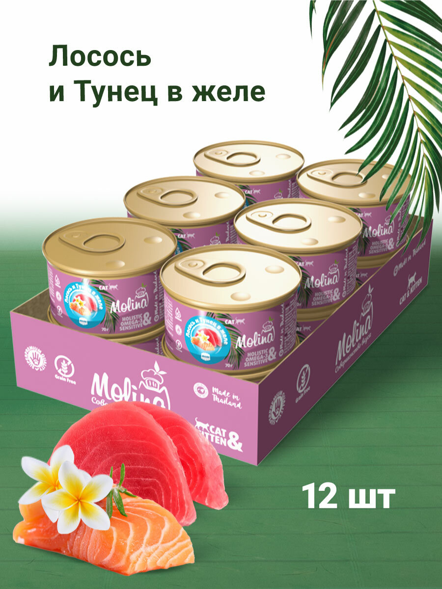 MOLINA корм для взрослых кошек с лососем и тунцом в желе М6119 (70 гр х 12 шт)