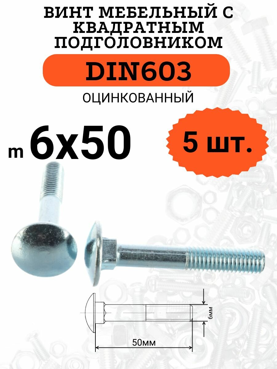 DIN603 6х50 винт мебельный с квадратным подголовником, 5 шт.