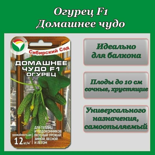 Огурец Домашнее чудо (1 упаковка -7шт семян) зеленый