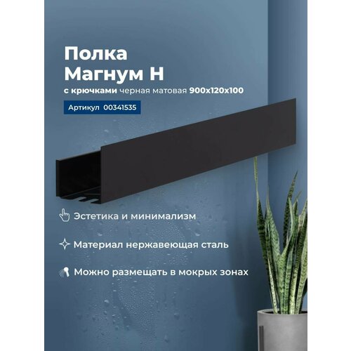Полка Aquanet Магнум 30x8 сталь браш, открытая