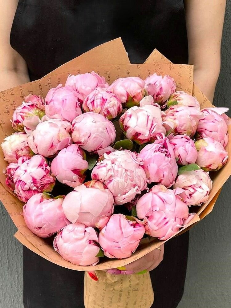 Букет живых цветов Пионы Сара Бернар XXL Holland 25шт премиум