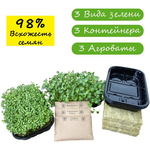 Набор для выращивания микрозелени ВСЕ включено Капуста Брокколи Горох