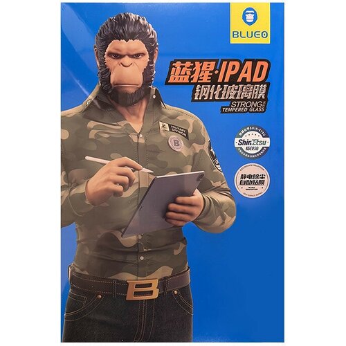 Защитное стекло BlueO Clear HD Anti-static для iPad 10.9 (2022) прозрачное (+installer)