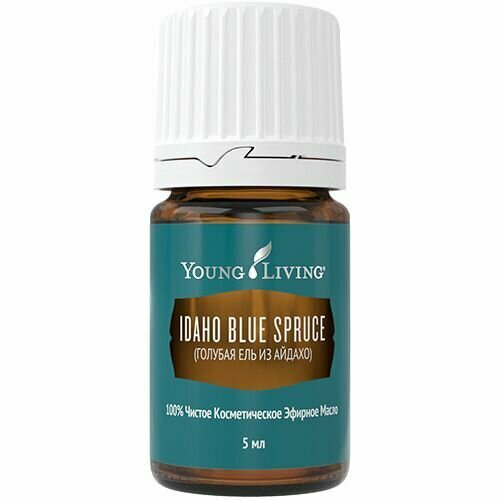 Янг Ливинг Эфирное масло Голубая ель/ Young Iiving Idaho Blue Spruce Oil Blend, 5 мл янг ливинг эфирное масло голубая пижма young living blue tansy oil blend 5 мл