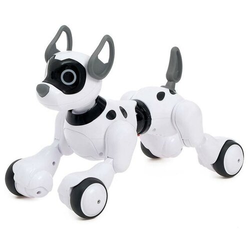 Купить Робот Woow Toys собака Koddy, белый/черный, Роботы и трансформеры