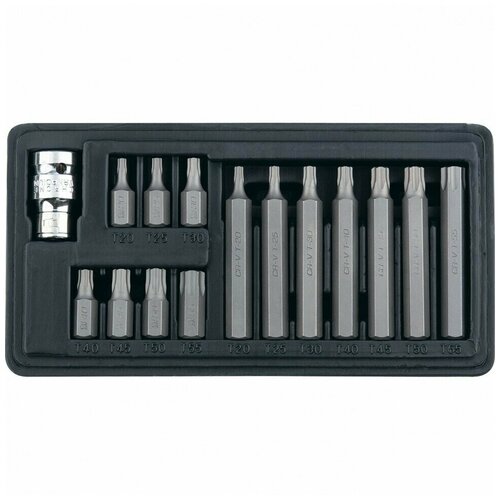 Набор бит Torx хвостовик-шестигранник 10 мм CrV 15 предметов Stels11315 2027₽