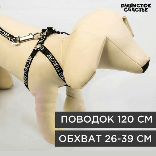 комплект ты и я шлейка 26 39 см поводок 120х1 см медальон Комплект Security dog, шлейка 26-39 см, поводок 120х1 см