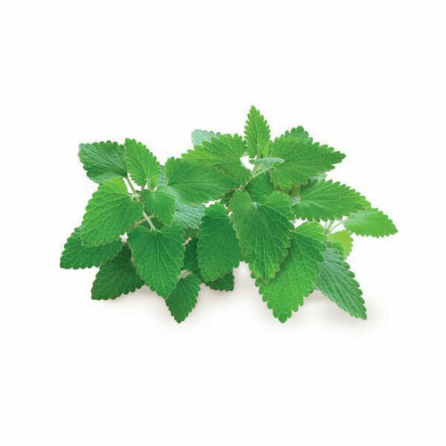 Click And Grow Комплект картриджей Click And Grow Catnip 3 шт для умного сада Click And Grow кошачья мята 2590₽