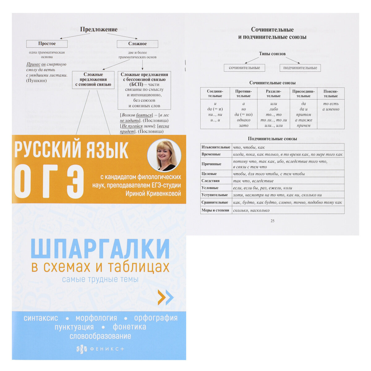ОГЭ Русский язык. Шпаргалки в схемах и таблицах - фото №6
