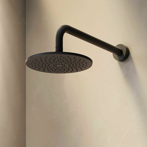 Изображение товара Лейка тропический душ AM.PM Gem черный, диаметр 22 см, латунь