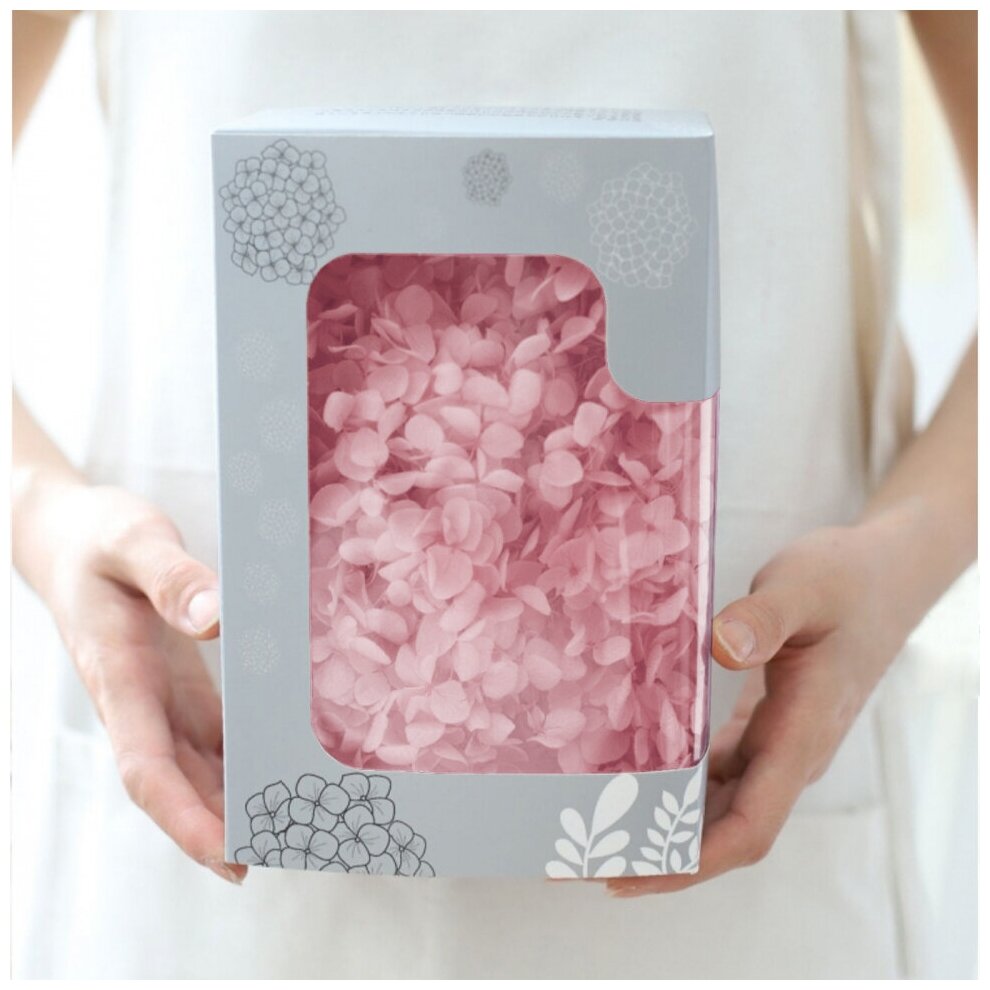 Стабилизированные цветы Гортензии (розовые), коробка