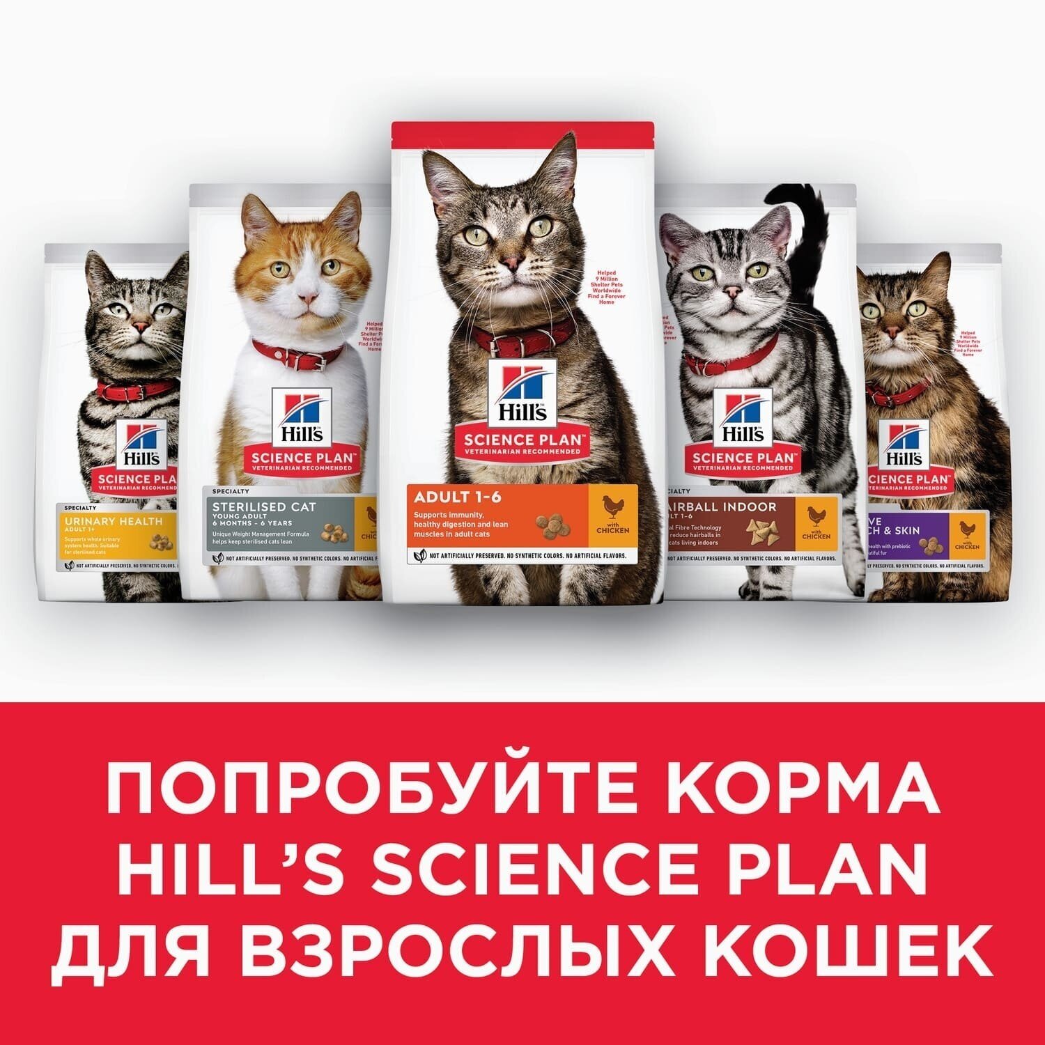 Сухой корм Hill's Science Plan Oral Care (Уход за полостью рта) для взрослых кошек, курица, 1.5кг - фото №18