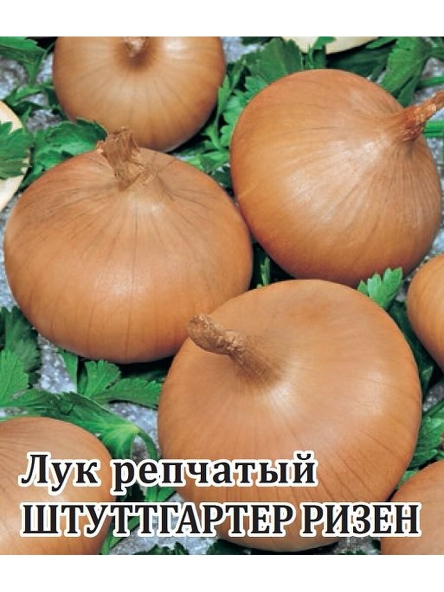 Семена Гавриш Фермерское подворье Лук репчатый Штуттгартер Ризен 25 г