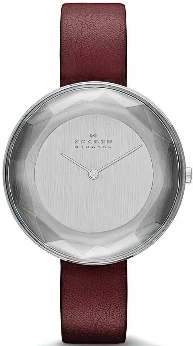 Наручные часы SKAGEN SKW2273