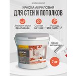 Краска акриловая Professional PW202 для внутренних работ для детской - изображение