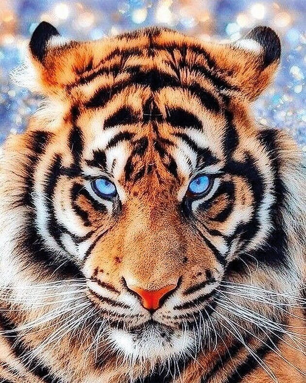 Алмазная вышивка "Взгляд тигра", 40х50 см, Цветной - фотография № 8