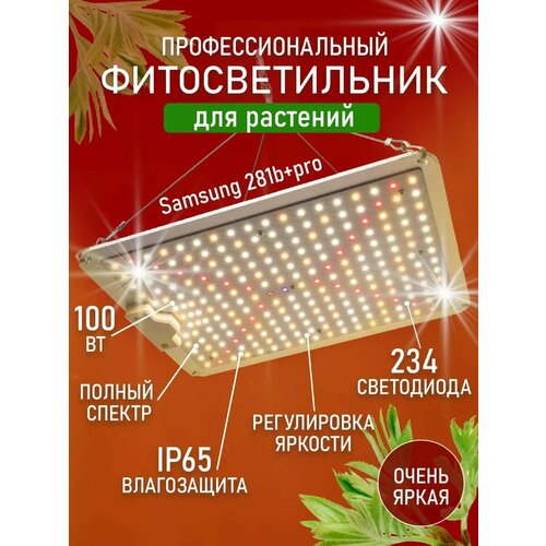 Фитолампа для растений рассады Led фитосветильник полный спектр лампа для цветов