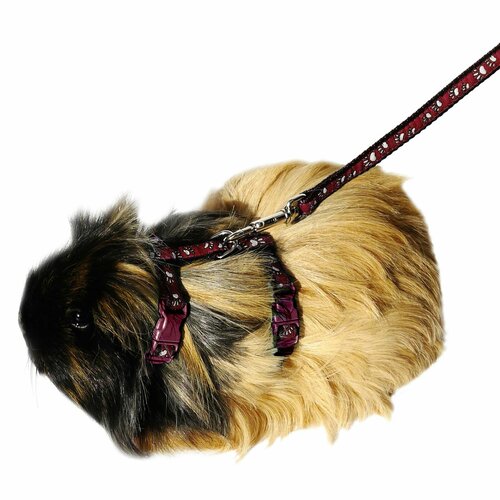 Шлейка для грызунов с поводком ROSEWOOD рисунок Лапка бордовая S Великобритания 1240₽