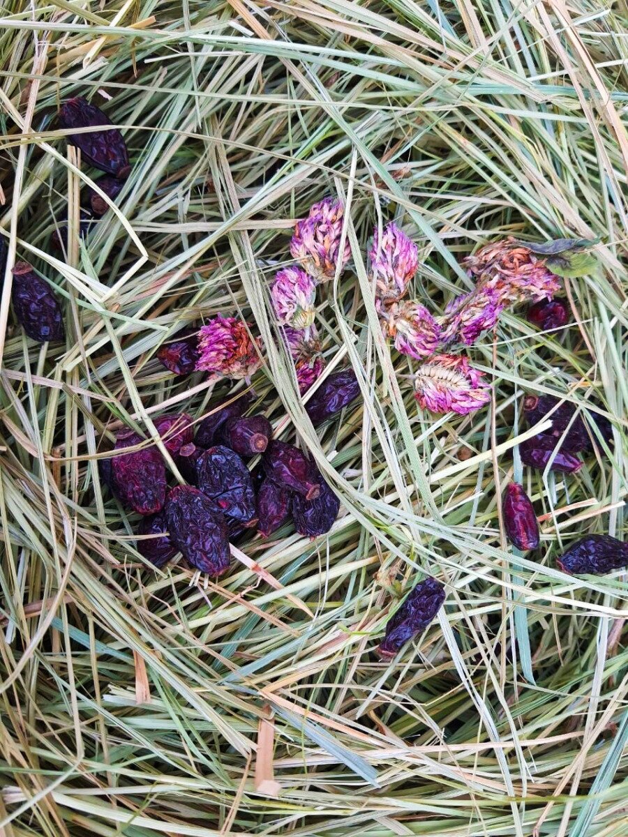 Сено для грызунов, Отборное Разнотравье с цветами Клевера и ягодами Шиповника, 2шт по 400г. - фотография № 4