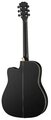 Foix FFG-2041C-BK Акустическая гитара, черная